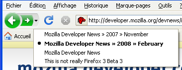 Firefox 3 beta 3