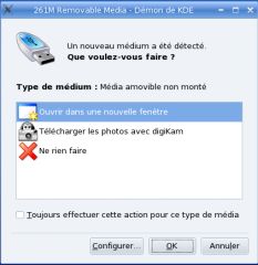 Fenêtre à l'insertion d'une clé USB